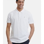 Polo Shirt In Plain Pattern