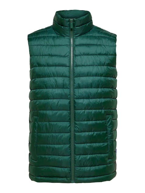 SELECTED - Slhtang Padded Gilet W