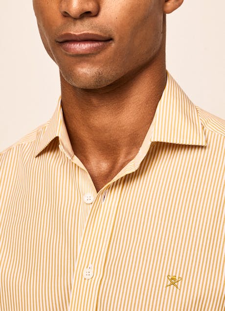 HACKETT - Bengal stripe shirt