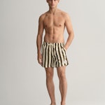 Classic Fit Block Stripe Swim Shorts