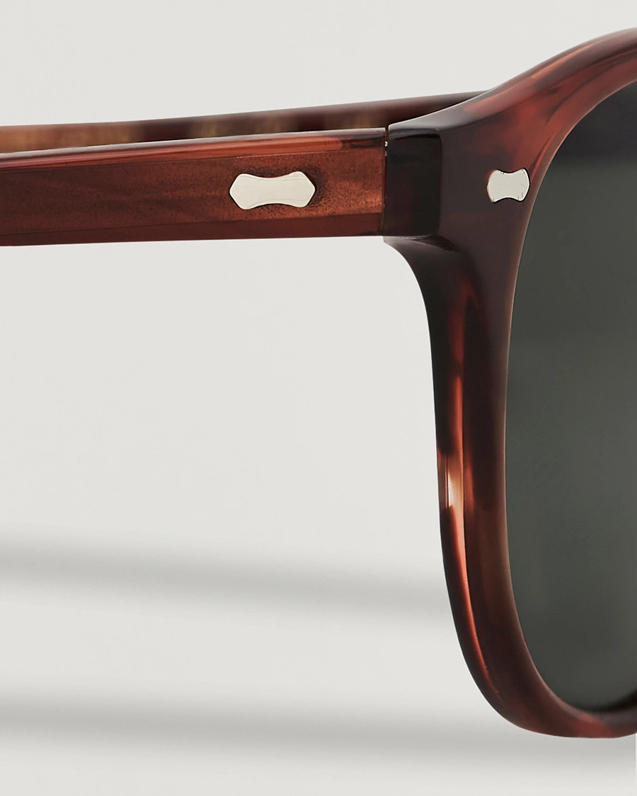 TBD - Shetland Classic Tortoise