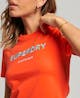 SUPERDRY - D2 Sdcd Code Graphic Emb Tiny Tee