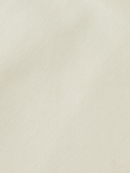 SCOTCH & SODA - Pleated Chino Shorts
