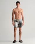 Block Striped Swim Shorts