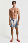 Block Stripe Swim Shorts