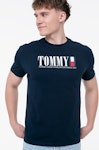 Reg Tommy Dna Flag Tee