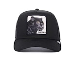 Cap The Panther