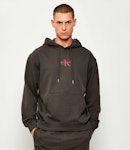 350Terry Micro Monologo