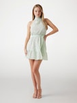 Danile Flare Dress