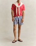 Block Striped Swimwear