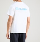 20s Calvin Disc Stack Graph