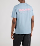 20s Calvin Disc Stack Graph