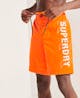 SUPERDRY - Classic Board Shorts